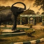 25 Interesting Facts About Cross River State