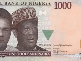The Nigerian Naira (₦)
