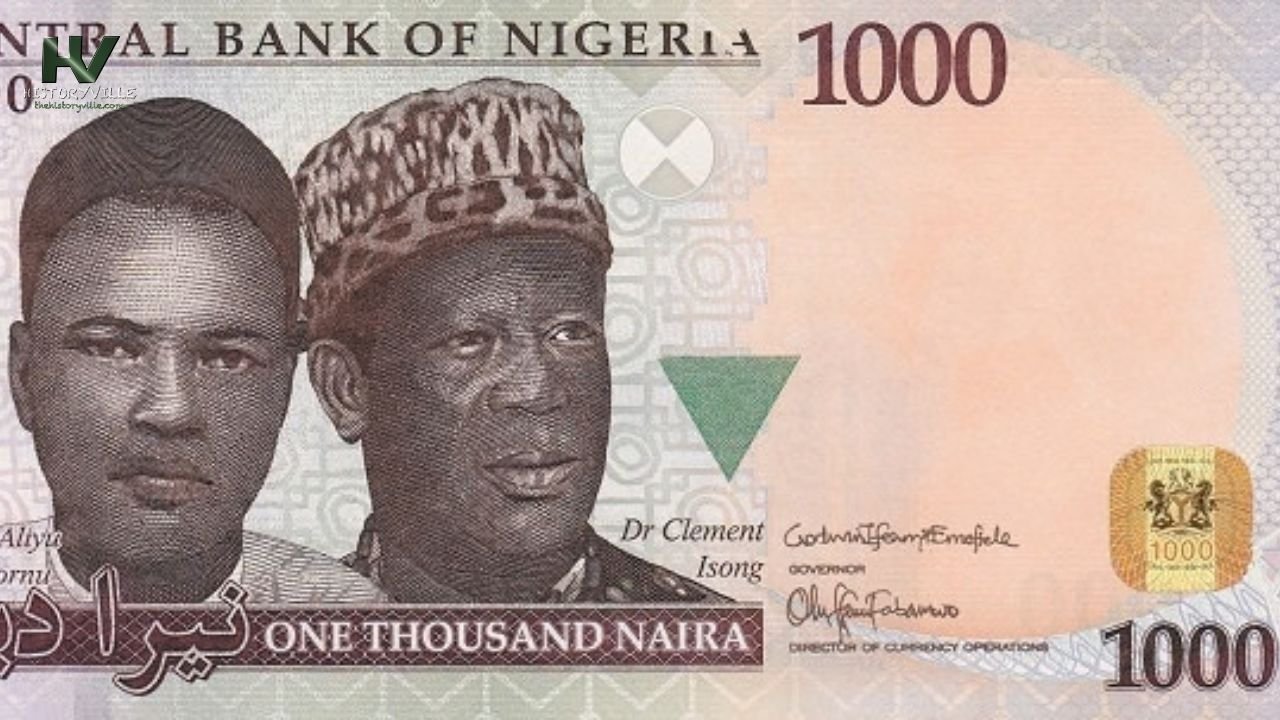 The Nigerian Naira (₦)